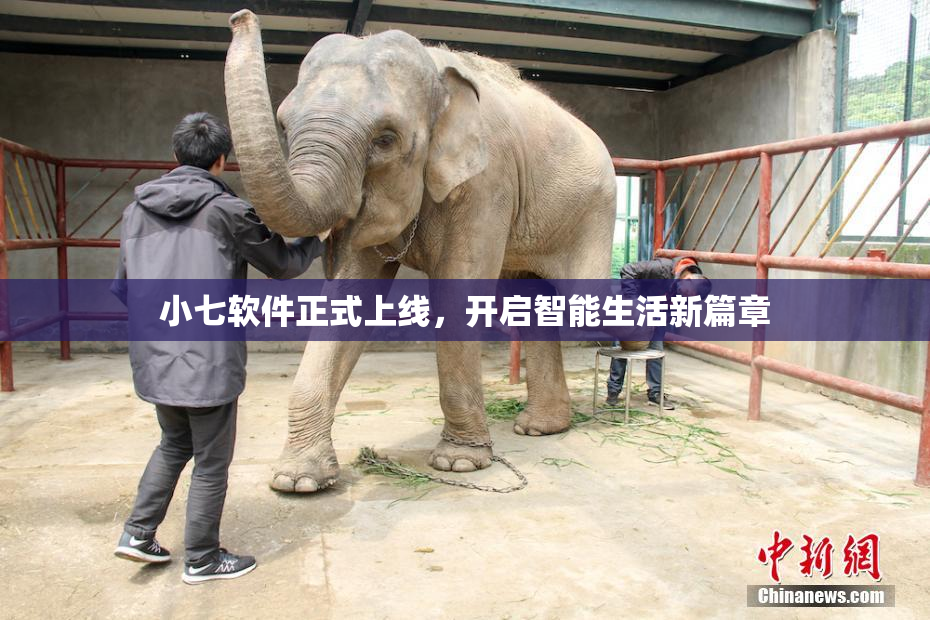小七软件正式上线，开启智能生活新篇章