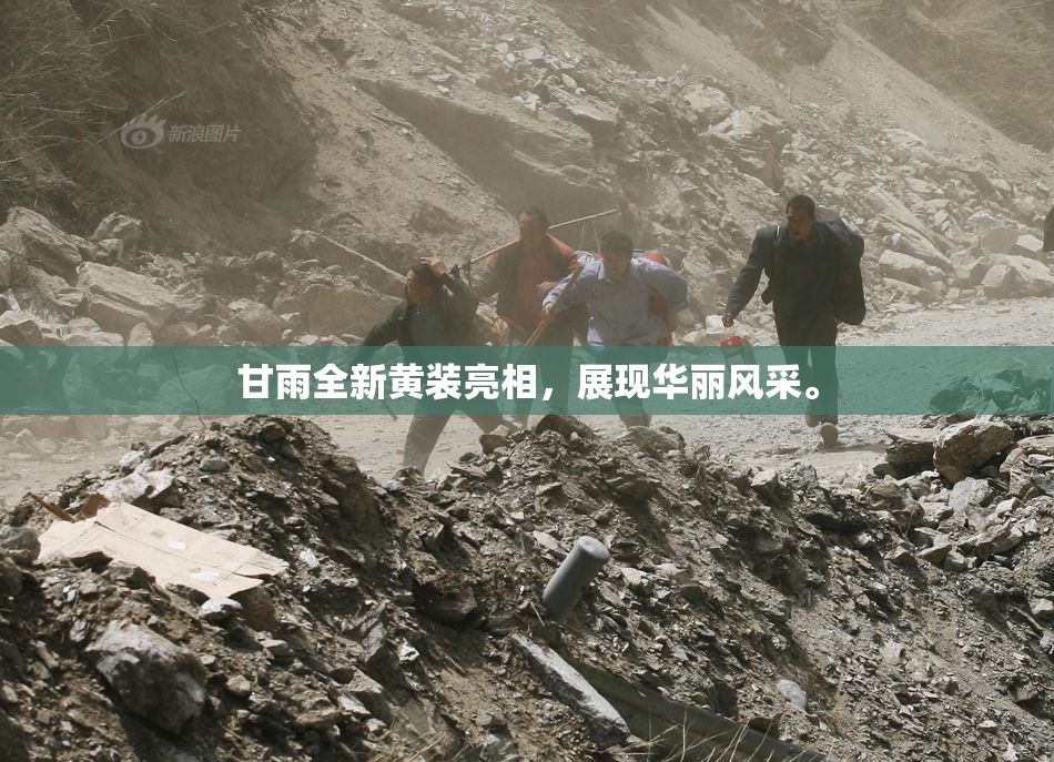 甘雨全新黄装亮相，展现华丽风采。
