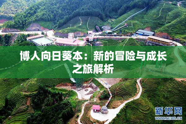 博人向日葵本：新的冒险与成长之旅解析