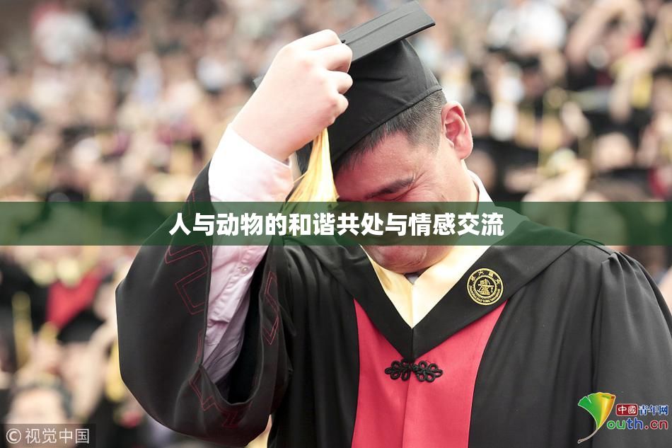 人与动物的和谐共处与情感交流