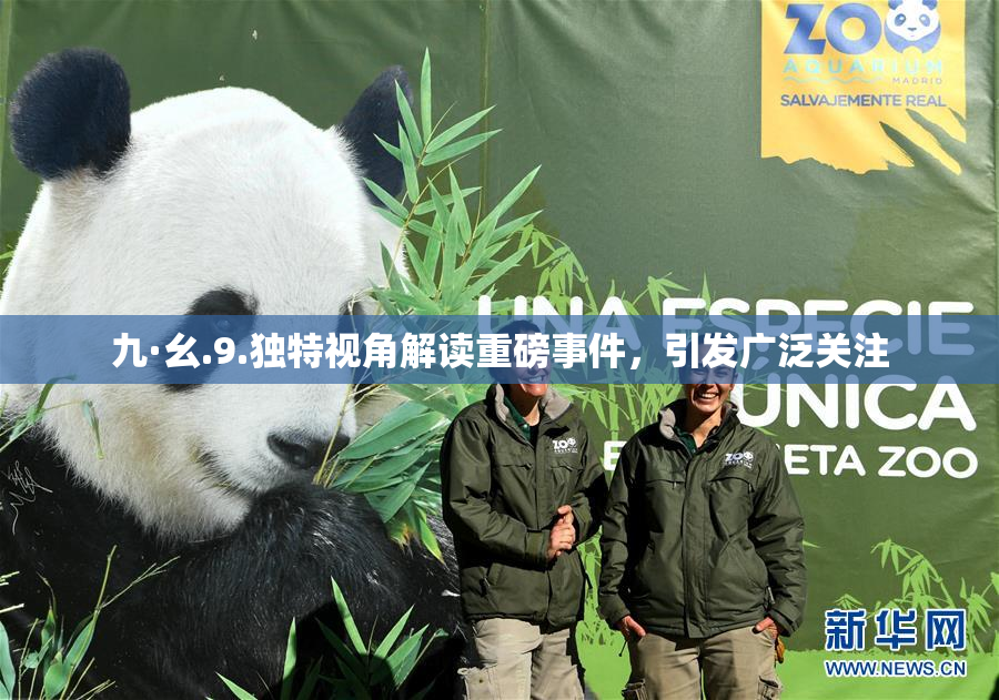 九·幺.9.独特视角解读重磅事件，引发广泛关注