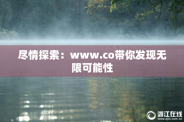 尽情探索：www.co带你发现无限可能性