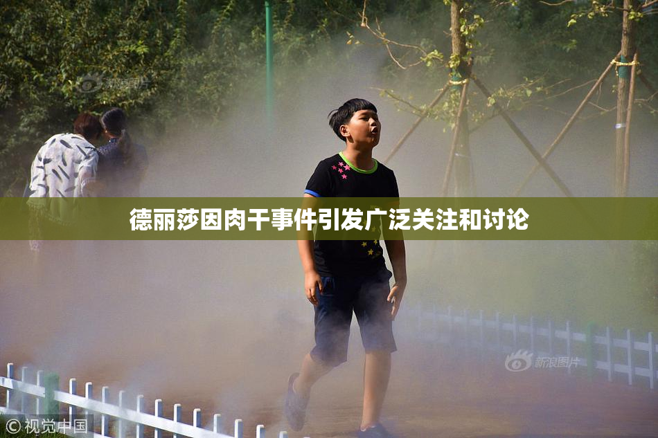 德丽莎因肉干事件引发广泛关注和讨论