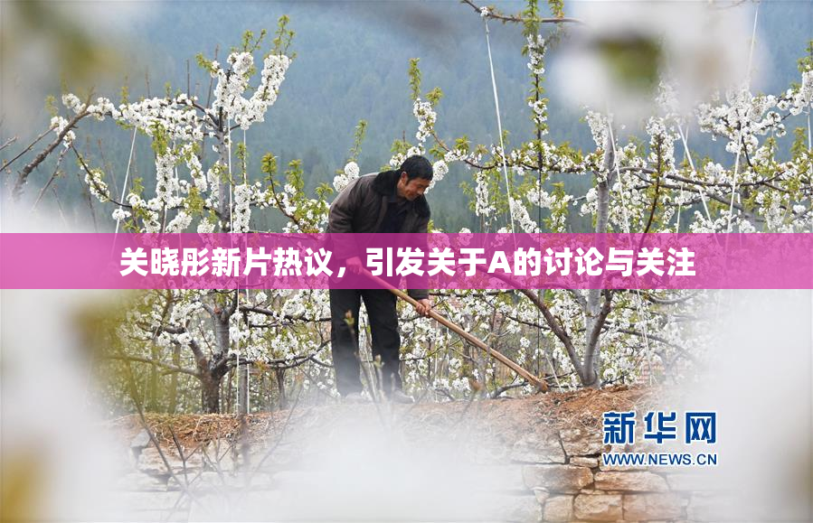 关晓彤新片热议，引发关于A的讨论与关注