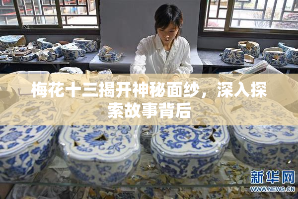 梅花十三揭开神秘面纱，深入探索故事背后