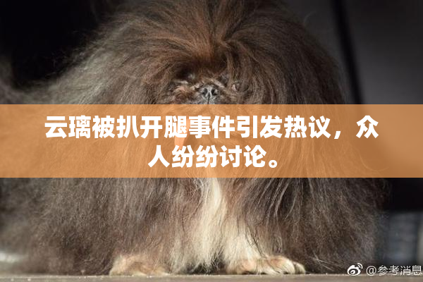 云璃被扒开腿事件引发热议，众人纷纷讨论。