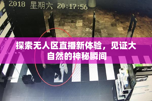 探索无人区直播新体验，见证大自然的神秘瞬间