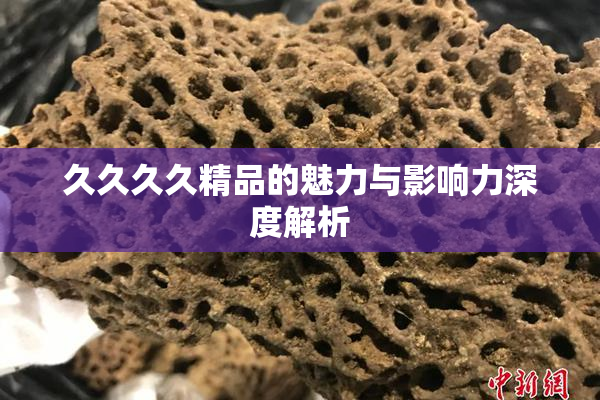 久久久久精品的魅力与影响力深度解析