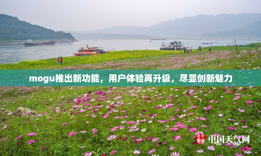 mogu推出新功能，用户体验再升级，尽显创新魅力