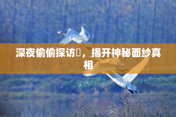 深夜偷偷探访妺，揭开神秘面纱真相