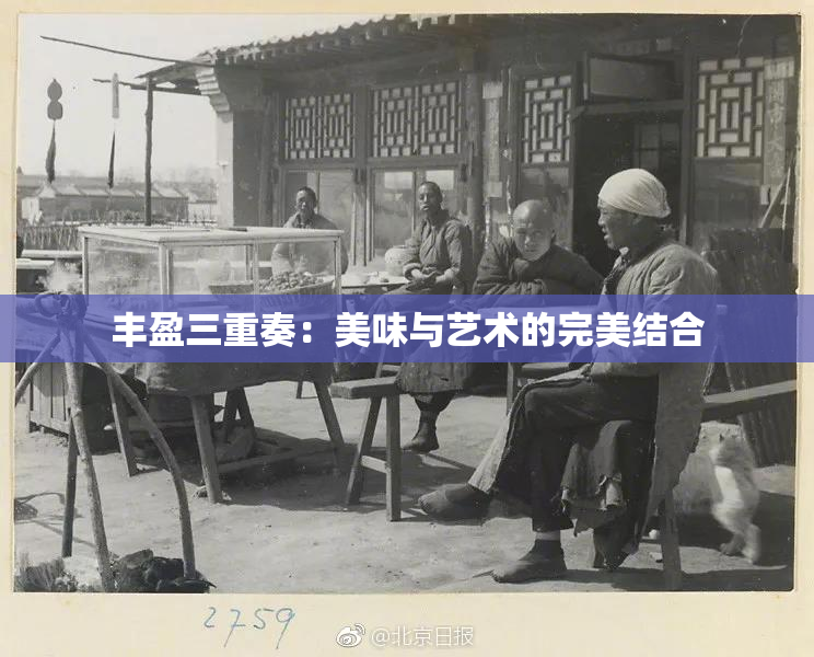 丰盈三重奏：美味与艺术的完美结合
