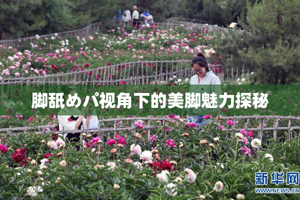 脚舐めパ视角下的美脚魅力探秘