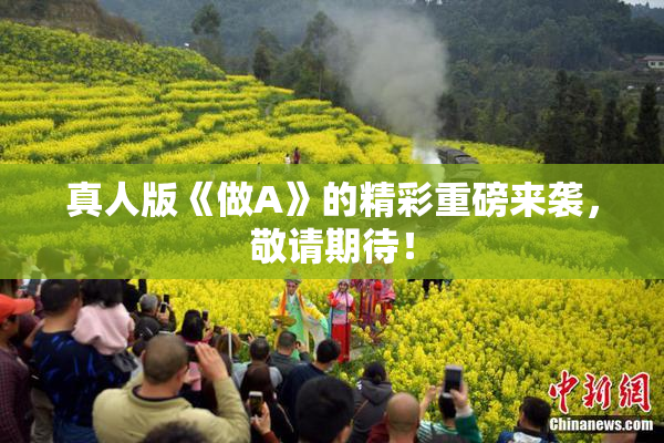 真人版《做A》的精彩重磅来袭，敬请期待！