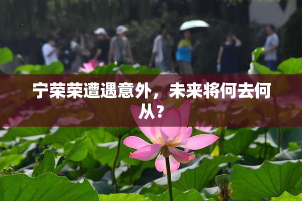 宁荣荣遭遇意外，未来将何去何从？