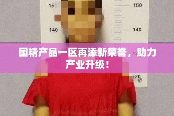 国精产品一区再添新荣誉，助力产业升级！