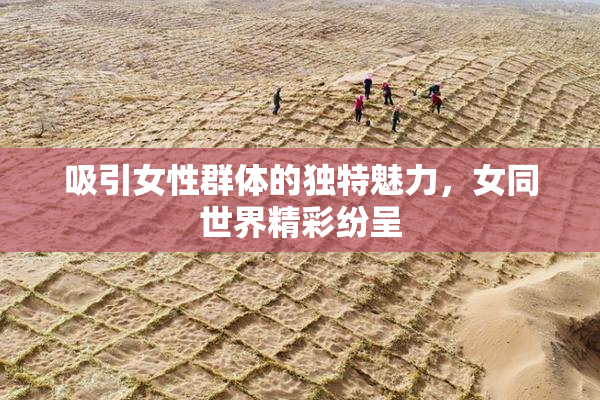 吸引女性群体的独特魅力，女同世界精彩纷呈