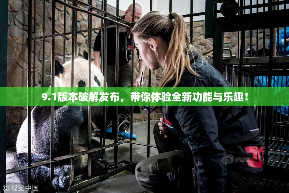 9.1版本破解发布，带你体验全新功能与乐趣！
