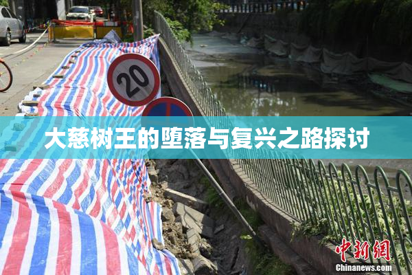 大慈树王的堕落与复兴之路探讨