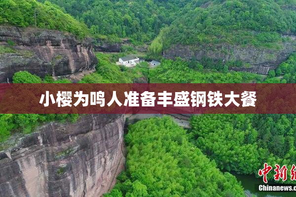 小樱为鸣人准备丰盛钢铁大餐