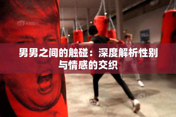 男男之间的触碰：深度解析性别与情感的交织