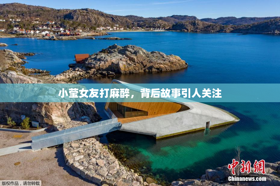 小莹女友打麻醉，背后故事引人关注