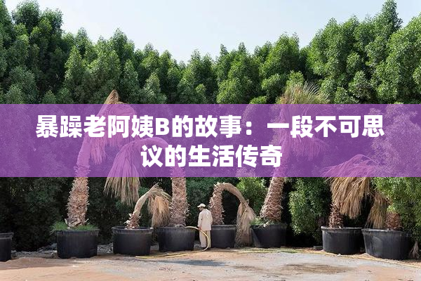 暴躁老阿姨B的故事：一段不可思议的生活传奇