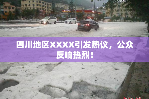 四川地区XXXX引发热议，公众反响热烈！