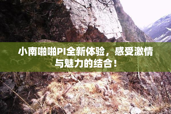 小南啪啪PI全新体验，感受激情与魅力的结合！