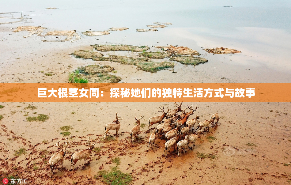 巨大根茎女同：探秘她们的独特生活方式与故事