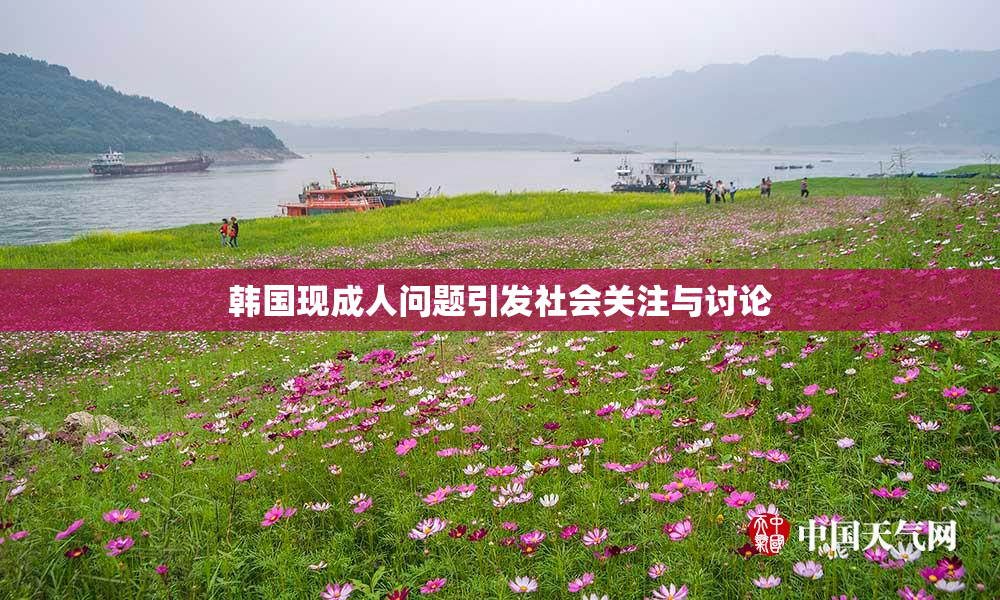 韩国现成人问题引发社会关注与讨论