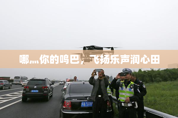 哪灬你的鸣巴，飞扬乐声润心田