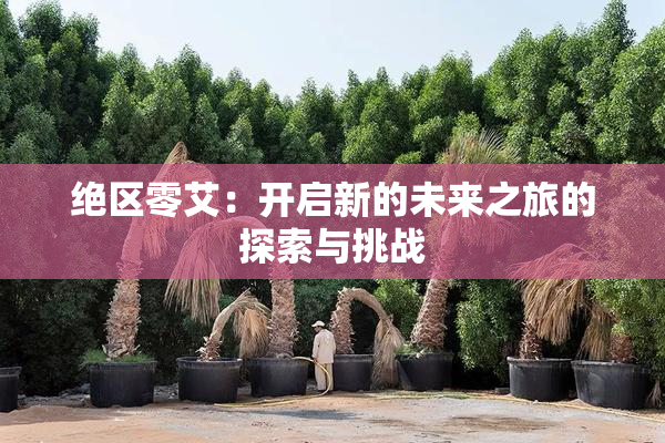 绝区零艾：开启新的未来之旅的探索与挑战