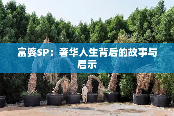 富婆SP：奢华人生背后的故事与启示