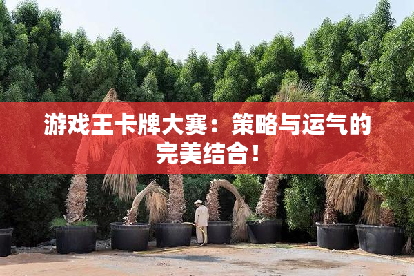 游戏王卡牌大赛：策略与运气的完美结合！