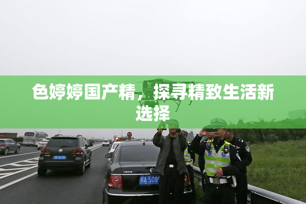 色婷婷国产精，探寻精致生活新选择