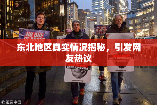 东北地区真实情况揭秘，引发网友热议