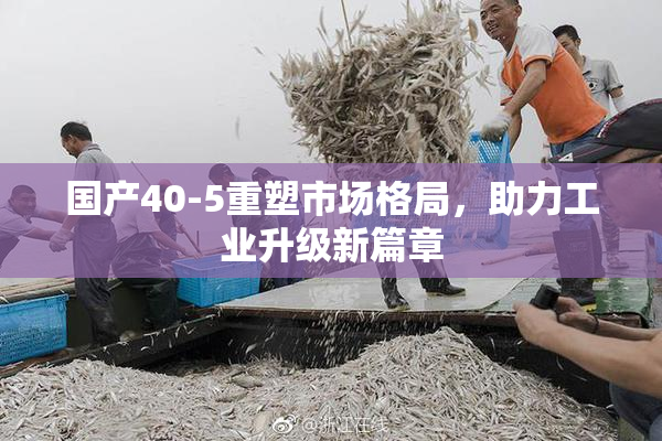 国产40-5重塑市场格局，助力工业升级新篇章