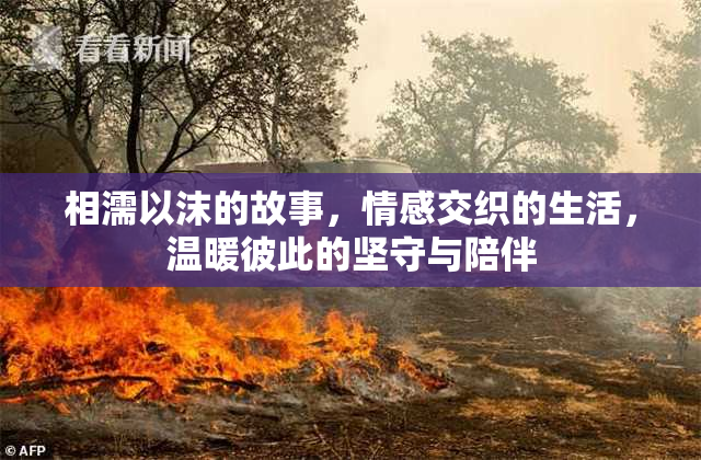 相濡以沫的故事，情感交织的生活，温暖彼此的坚守与陪伴