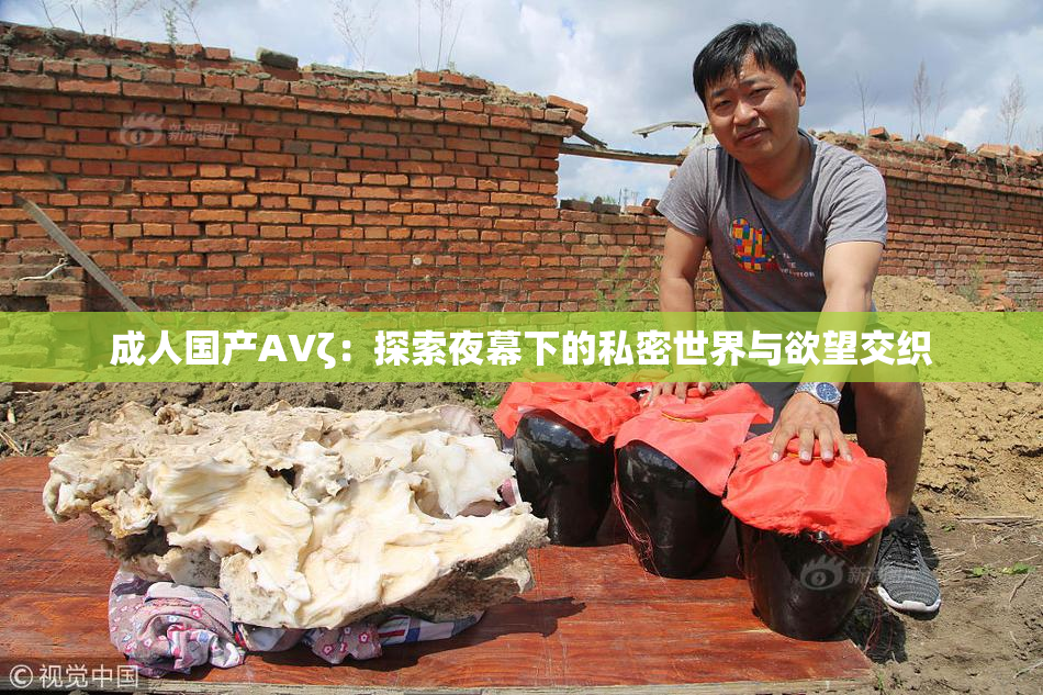 成人国产AVζ：探索夜幕下的私密世界与欲望交织