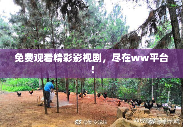 免费观看精彩影视剧，尽在ww平台！
