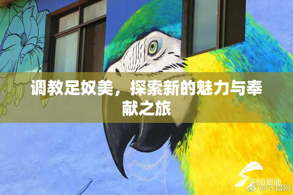 调教足奴美，探索新的魅力与奉献之旅