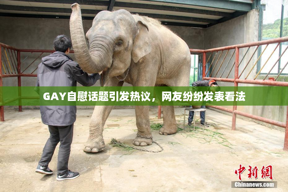 GAY自慰话题引发热议，网友纷纷发表看法