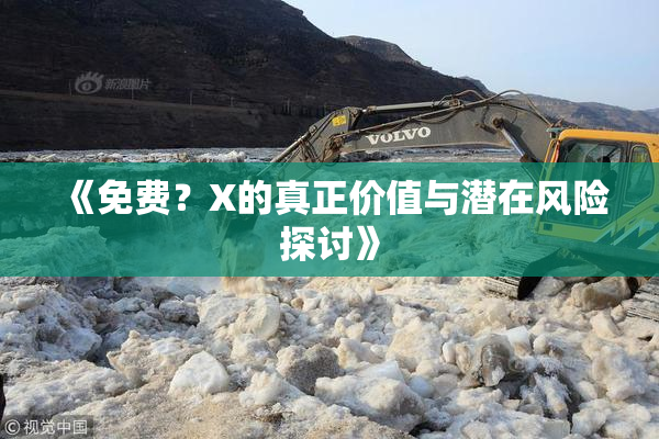 《免费？X的真正价值与潜在风险探讨》