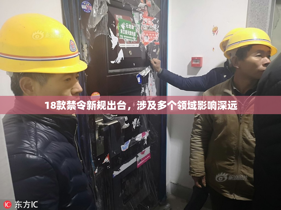 18款禁令新规出台，涉及多个领域影响深远