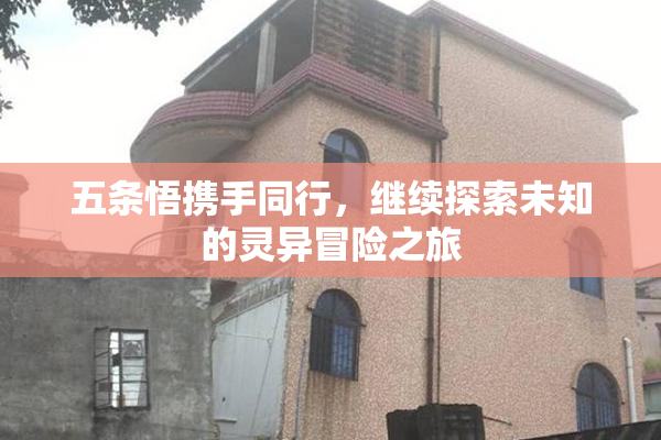 五条悟携手同行，继续探索未知的灵异冒险之旅