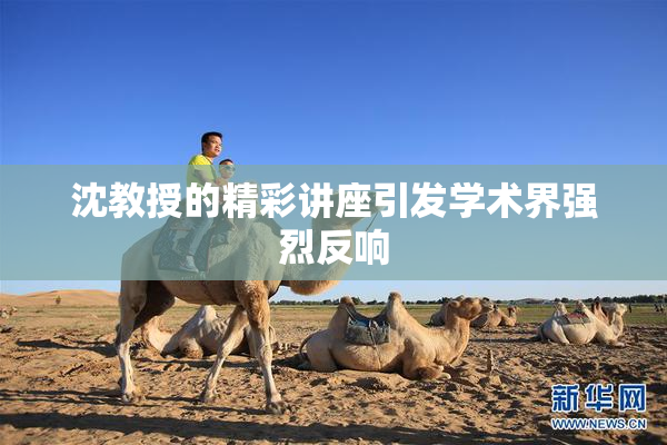 沈教授的精彩讲座引发学术界强烈反响