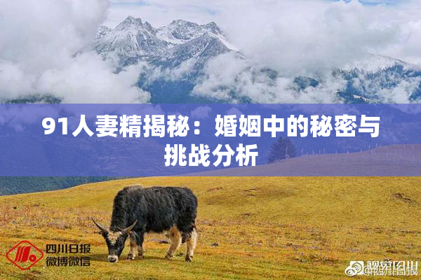 91人妻精揭秘：婚姻中的秘密与挑战分析