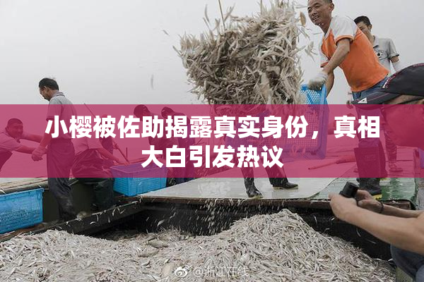 小樱被佐助揭露真实身份，真相大白引发热议