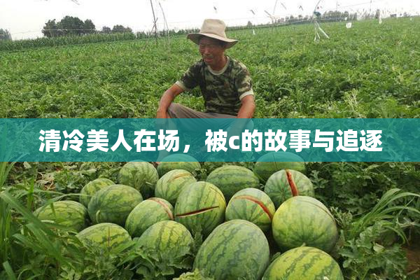 清冷美人在场，被c的故事与追逐