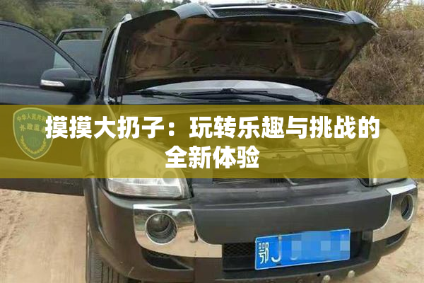 摸摸大扔子：玩转乐趣与挑战的全新体验